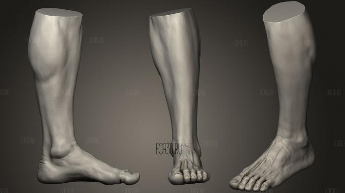 Male Foot 1 3d stl модель для ЧПУ